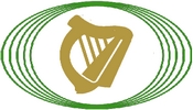 Dáil Éireann TV